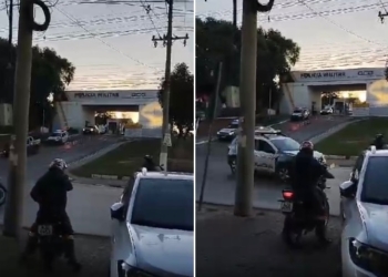 A caçada continua