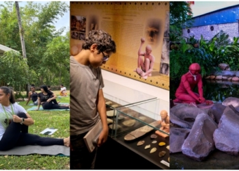 Museu de História Natural celebra mês das mães com atividades artísticas e de bem-estar