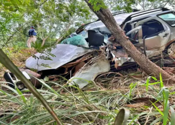 Homem morre e três pessoas são socorridas após carro bater contra árvore