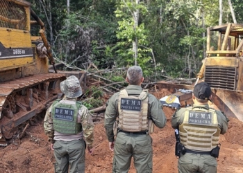 Polícia Civil realiza operação de fiscalização ambiental em propriedades