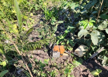 PF prende em flagrante em MT homem desmatando terras da União