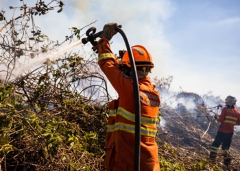 Corpo de Bombeiros combate três incêndios florestais em MT nesta quarta-feira