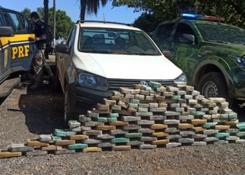 Ação integrada flagra 140 tabletes escondidos em fundo falso de veículo em VG