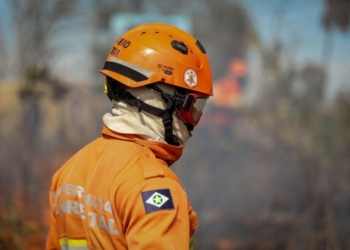 Governo de MT antecipa operação de combate aos incêndios no Pantanal