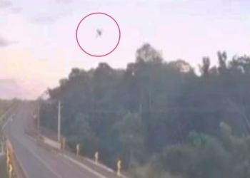 Vídeo mostra momento em que avião cai em matagal; piloto e passageiro morreram carbonizados