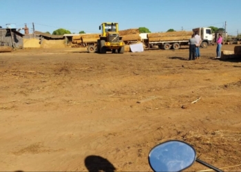 Homem é encontrado morto após ser esmagado por tora de madeira durante trabalho