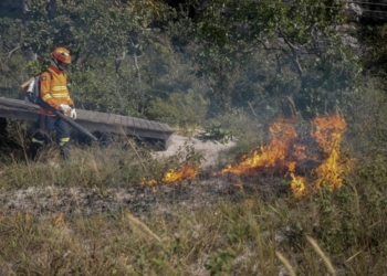 Bombeiros extinguem incêndio no Morro São Jerônimo nesta terça-feira