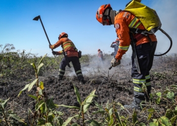 Corpo de Bombeiros extingue mais um incêndio florestal em Chapada dos Guimarães nesta segunda-feira