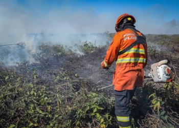 Corpo de Bombeiros combate seis incêndios florestais em Mato Grosso nesta terça-feira