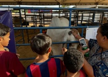 Mais de 200 crianças conhecem um pouco da raça Nelore na 56ª Expoagro