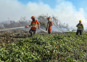 Corpo de Bombeiros combate três incêndios florestais em Mato Grosso nesta sexta