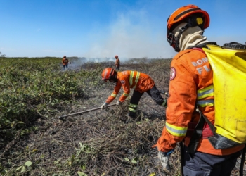 Corpo de Bombeiros segue combatendo incêndio no Pantanal nesta quarta-feira