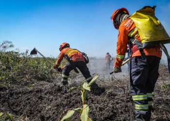 Corpo de Bombeiros segue no combate a quatro incêndios florestais nesta segunda
