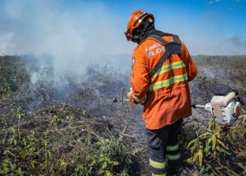 Corpo de Bombeiros continua combate ao incêndio em Porto Conceição nesta quinta