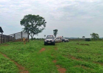 Trabalhador morre após ser atingido por placa de concreto em fazenda