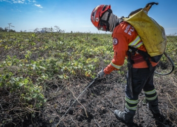 Bombeiros de MT combatem 27 incêndios florestais em Mato Grosso nesta quinta