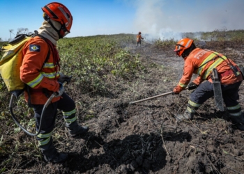 Corpo de Bombeiros extingue dois incêndios e combate outros 16 nesta sexta-feira