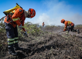 Corpo de Bombeiros combate 23 incêndios florestais nesta quinta-feira