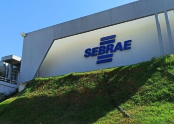 Sebrae/MT abre quatro processos seletivos para vagas em Cuiabá, Sinop, Sorriso e Barra do Garças