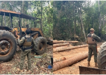 Suspeitos de extração ilegal de madeira reagem a abordagem e trocam tiros com policiais
