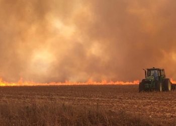 Aprosoja Brasil critica decreto do governo sobre crimes ambientais e restrição ao crédito rural