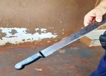 Idosa é presa após tentar matar o próprio irmão com golpes de facão