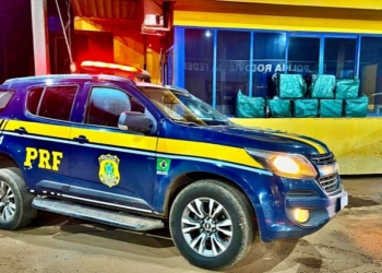 Motorista e passageira são presos transportando 260 quilos de drogas e madeira ilegal