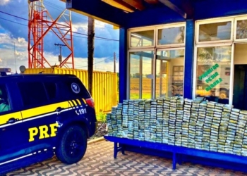 PRF apreende mais de 730 quilos de drogas nas rodovias federais em MT