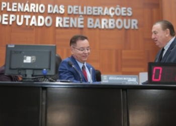 Lei de Botelho valoriza protetores e cuidadores de animais soltos ou abandonados em MT
