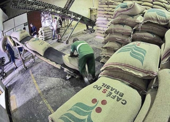 Vendas de café atingem 70% da produção com destaque para o arábica