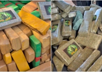 Motorista é preso transportando 649 tabletes de droga na BR-070 em Várzea Grande