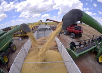 Roraima lidera crescimento do PIB no Brasil, impulsionado pelo agronegócio