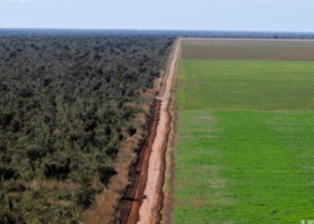 Projetos estadual e federal podem corrigir injustiças ambientais e impulsionar o agronegócio