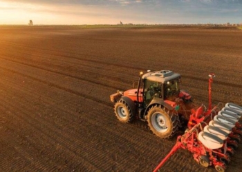 Paraná quer antecipar o vazio sanitário da soja na safra 25/26
