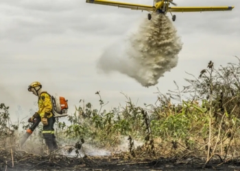 Pantanal: redução da área alagada tem favorecido aumento de incêndios