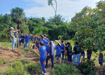 Escola da rede estadual cria projeto de recuperação de nascentes