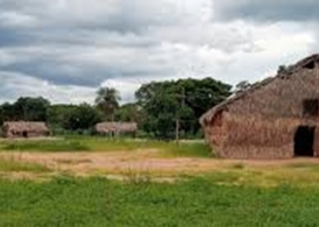 Produtores rurais são obrigados à suspender atividades na Terra Indígena Manoki, em MT