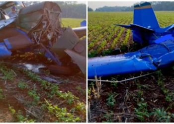 Avião agrícola utilizado na aplicação de agrotóxicos sofre pane e cai em lavoura