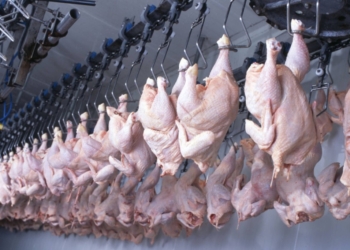 Brasil vai vender frango para um dos maiores consumidores do sudeste europeu