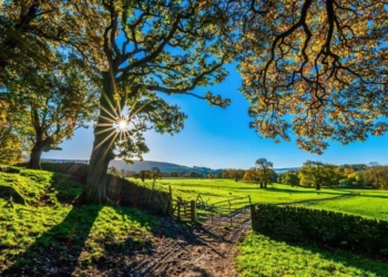 Projeto que permite uso de terras rurais para quitar dívidas tributárias avança na Câmara