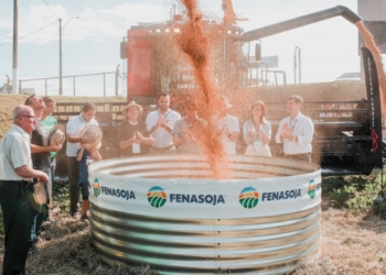 Fenasoja: Santa Rosa celebra os 100 anos da soja no país
