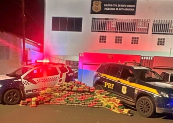 Motorista é preso transportando 202 quilos de supermaconha avaliada em R$ 8 milhões