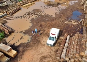 Homem de 39 anos é assassinado com pauladas na cabeça em madeireira