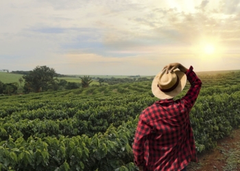 Produto mineiro chega a 86 países e rende R$ 37,2 bilhões