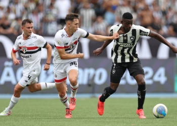 Botafogo quebra jejum de 29 anos e conquista o título do Brasileirão com vitória sobre o São Paulo