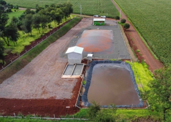 Paraná moderniza normas ambientais e amplia segurança para o setor produtivo