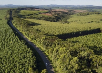 UFMG aponta entraves na implementação da legislação ambiental