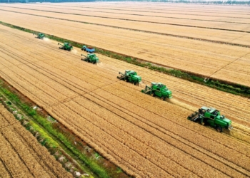 Senado aprova reforma tributária com importantes conquistas para o agro