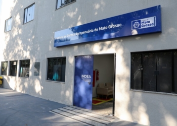 Auditoria do Mapa eleva nota de MT e ressalta melhora na qualidade do serviço veterinário estadual