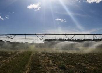 Entenda como ficam as exportações agrícolas após acordo Mercosul-UE